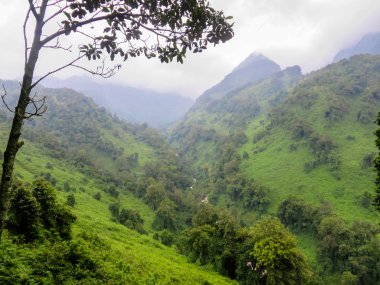 Ruwenzori bölgesinin manzarası, Uganda 