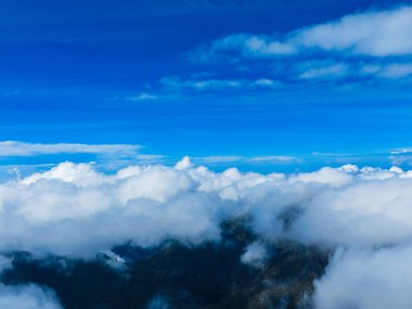 Ruwenzori bölgesinin manzarası, Uganda 
