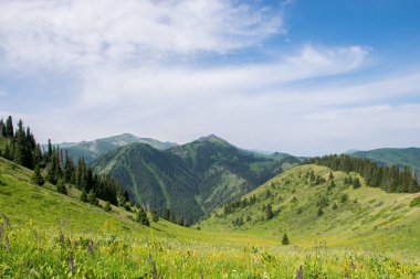 Karkara bölgesinin manzarası, Tian Shan, Kazakistan