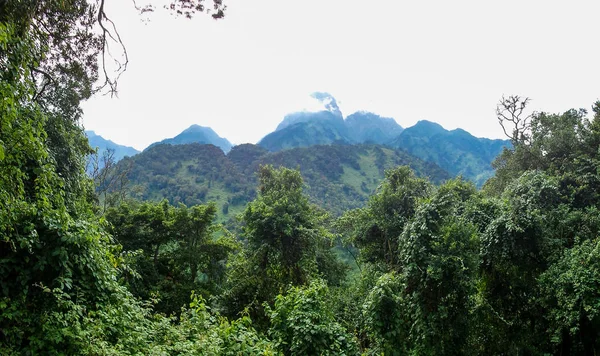 Vista Panorâmica Área Ruwenzori Uganda — Fotografia de Stock