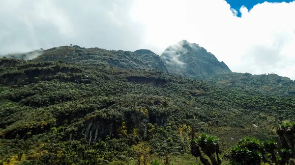 Vista Panorâmica Área Ruwenzori Uganda — Fotografia de Stock