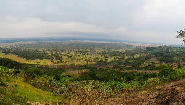 Ruwenzori Bölgesinin Manzarası Uganda — Stok fotoğraf