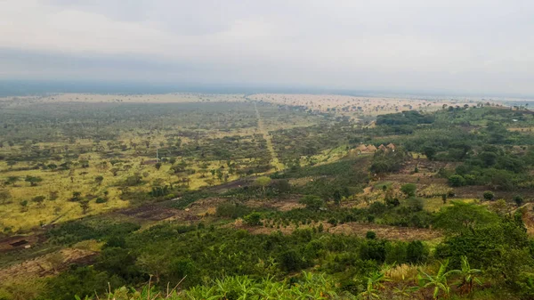 Ruwenzori Bölgesinin Manzarası Uganda — Stok fotoğraf