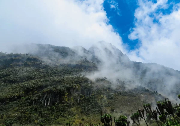 ウガンダのルウェンゾリ地方の風景 — ストック写真