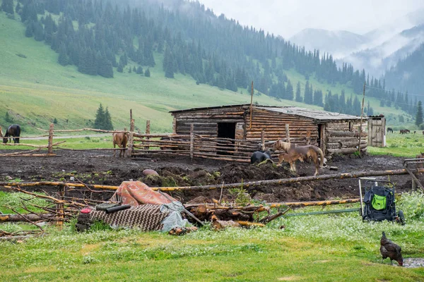 Viajar Por Zona Karkara Tian Shan Kazajstán —  Fotos de Stock