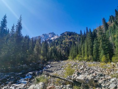 Gündüz Alatau dağlarının manzarası, Tian Shan, Kazakistan