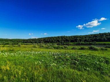 Kaluga bölgesinin manzarası doğa, Rusya