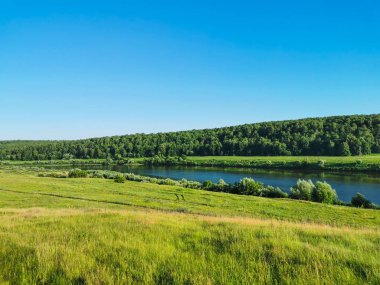Kaluga bölgesinin manzarası doğa, Rusya