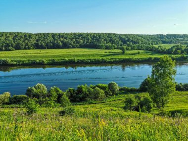 Kaluga bölgesinin manzarası doğa, Rusya