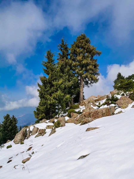 Malebný Pohled Hory Alatau Tian Shan Kazachstán — Stock fotografie