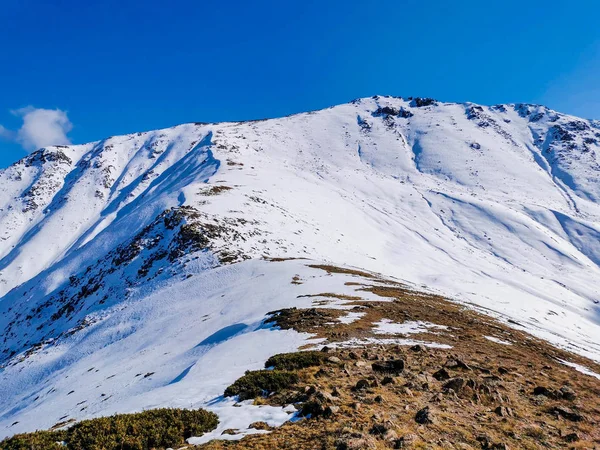 Vue Panoramique Sur Les Montagnes Alatau Tian Shan Kazakhstan — Photo