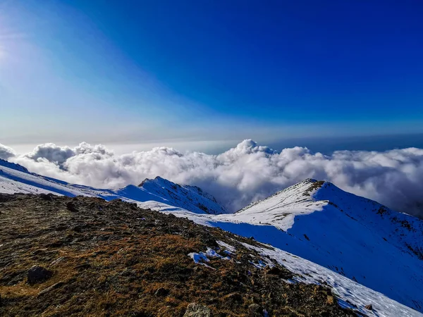 Alatau Dağlarının Manzarası Tian Shan Kazakistan — Stok fotoğraf