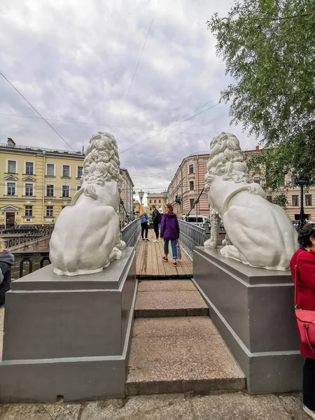 Περπάτημα Από Την Πόλη Της Αγίας Πετρούπολης Κατά Διάρκεια Της — Φωτογραφία Αρχείου