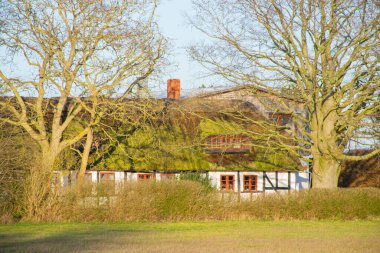 Kırsal yapı ve ağaçların gündüz manzarası