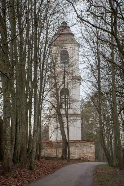 Vista Dia Nublado Outono Igreja Monastery Pazaislis Kaunas Lituânia — Fotografia de Stock