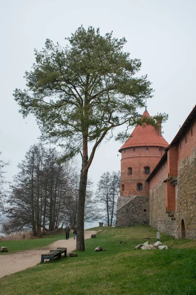 Widok Zamek Wyspie Trakai Dzień Litwa Koncepcja Podróży — Zdjęcie stockowe