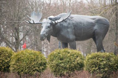 Şehirde geyik heykeli 
