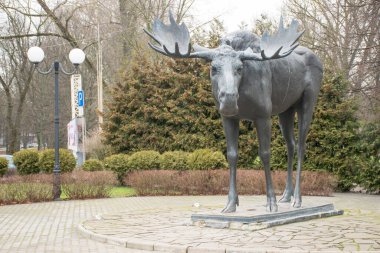 Şehirde geyik heykeli 