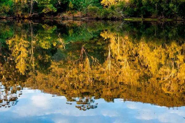 Temporada de otoño, hojas amarillas en el reflejo del árbol en el agua. Concepto de otoño. Fondo de caída —  Fotos de Stock