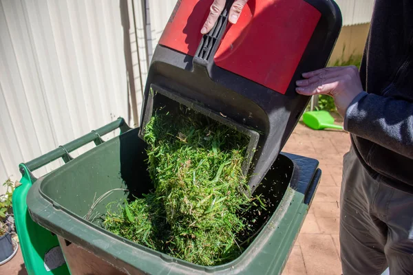 Recipiente de lixo verde cheio de grama cortada. Cesta de cortador de relva a esvaziar o cesto. Primavera limpar no jardim. Reciclagem de lixo para um ambiente melhor . — Fotografia de Stock