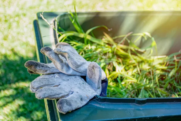 Contenitore verde pieno di rifiuti del giardino. Guanti da giardinaggio sporchi. Primavera pulisci in giardino. Riciclaggio dei rifiuti per un ambiente migliore . — Foto Stock