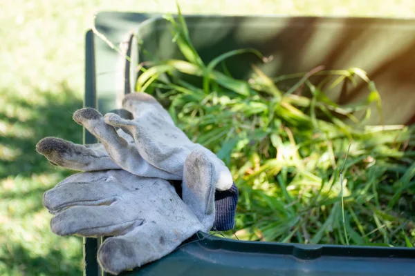 Recipiente de lixo verde cheio de lixo de jardim. Luvas de jardinagem sujas. Primavera limpar no jardim. Reciclagem de lixo para um ambiente melhor . — Fotografia de Stock