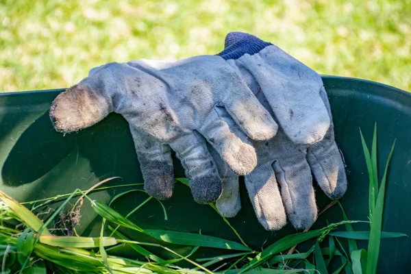 Recipiente de lixo verde cheio de lixo de jardim. Luvas de jardinagem sujas. Primavera limpar no jardim. Reciclagem de lixo para um ambiente melhor . — Fotografia de Stock