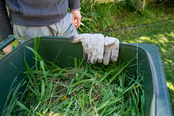 Recipiente de lixo verde cheio de lixo de jardim. Luvas de jardinagem sujas. Primavera limpar no jardim. Reciclagem de lixo para um ambiente melhor . — Fotografia de Stock