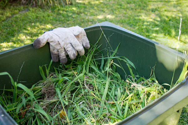 Pojemnik z zielonym zasobnikiem wypełniony odpadami ogrodowymi. Brudne rękawice ogrodnicze. Wiosna posprzątać w ogrodzie. Recykling śmieci dla lepszego środowiska. — Zdjęcie stockowe