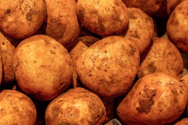 Taze patates pazarda yığılmış. Gıda backgroumd. Hasat