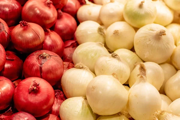Fresh red and white onion piled on the market. Food backgroumd. Harvest