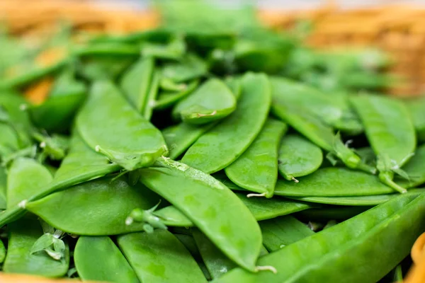 Guisantes verdes frescos apilados en el mercado. Fondo alimenticio. Cosecha —  Fotos de Stock