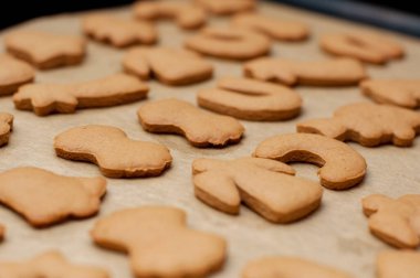 Fırında pişmiş ev yapımı zencefilli kurabiye tepsisi. Seçici odak