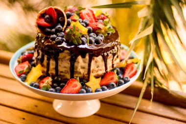 Çikolata jöleli, çilekli, yaban mersinli, karambola yıldızı meyveli ve dondurma külahlı nefis el yapımı pasta..