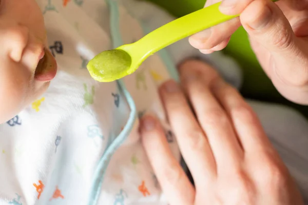 Adultt Nourrit Une Petite Puree De Brocoli Pour Bebe Avec Une Cuillere Les Bebes D Abord Sevrage Gamin Mignon Stock Photo