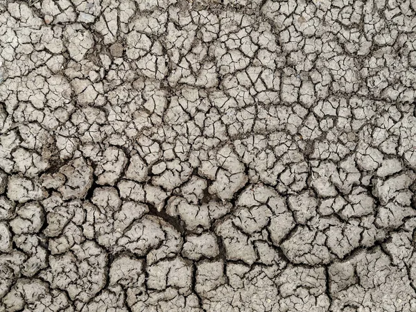 Terre fissurée séchée. En raison de l'absence de pluie et de sécheresse . — Photo