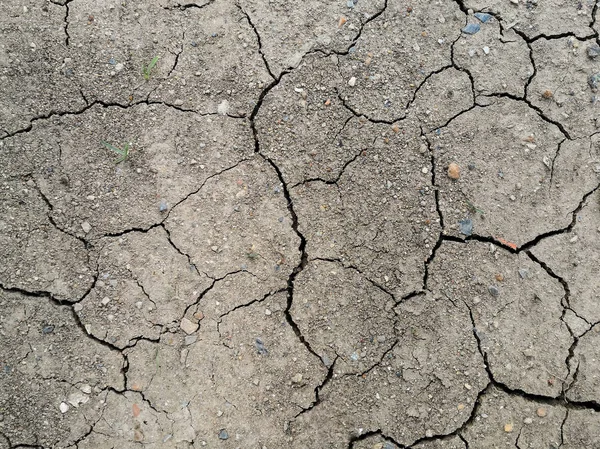 Texture di terra crepata essiccata. A causa della stagione delle piogge e della siccità . — Foto Stock