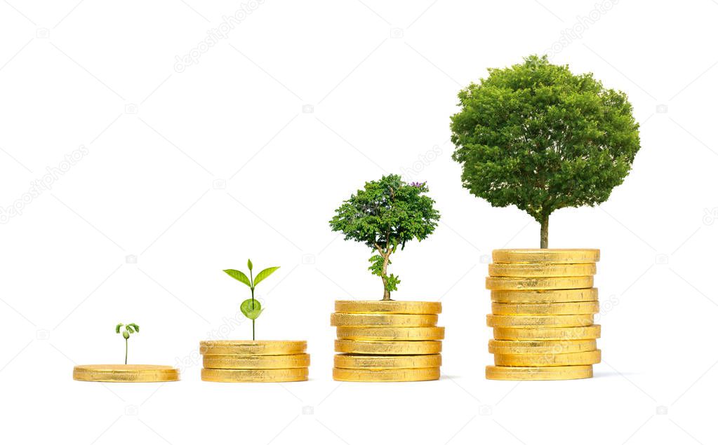 Artificial gold coin stack with growing tree on white background.