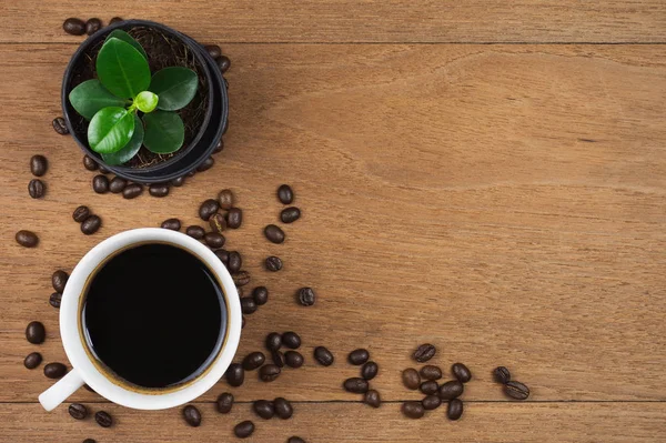 Taza de café y granos de café con planta pequeña sobre fondo de mesa de madera. Vista superior con espacio de copia . — Foto de Stock