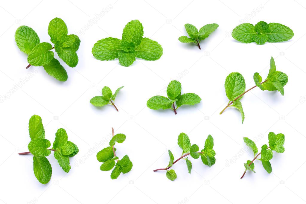 Set of fresh mint leaves isolated on white background.