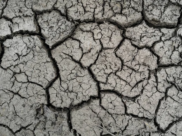 Texture de terre fissurée séchée en raison de l'absence de pluie et de la saison de sécheresse. — Photo