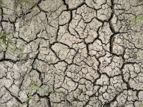 L'erba e la terra crepata asciugata. A causa della stagione delle piogge e della siccità . — Foto Stock