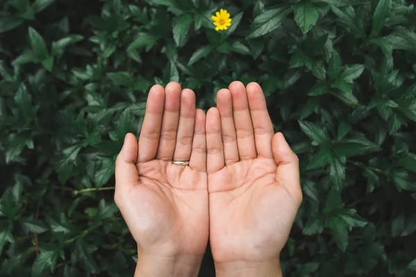 Vrouwelijke handen met groene Leafs achtergrond. Milieubehoud en Save the World concept. — Stockfoto