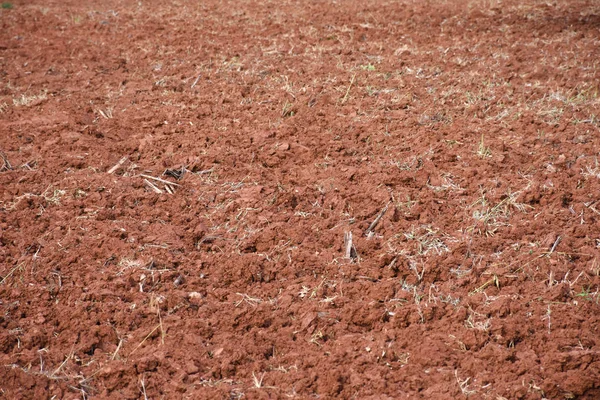 Dry red soil in agriculture farm background. — Stock Photo, Image