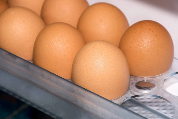 Huevos de pollo frescos en el estante del refrigerador . — Foto de Stock