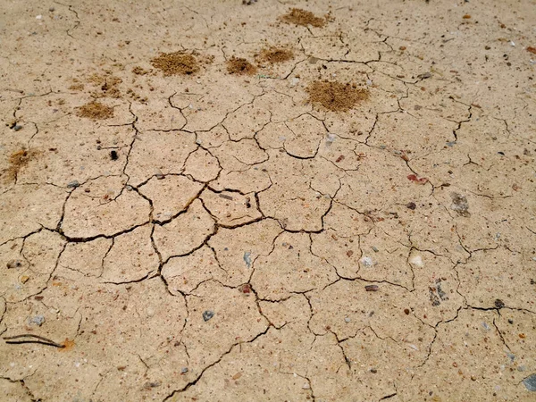 Fissuration du sol sec en saison aride. Texture de terre fissurée sèche . — Photo