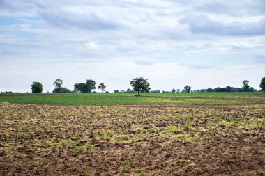 Mavi gökyüzü ve bulutlu tarım çiftliği.