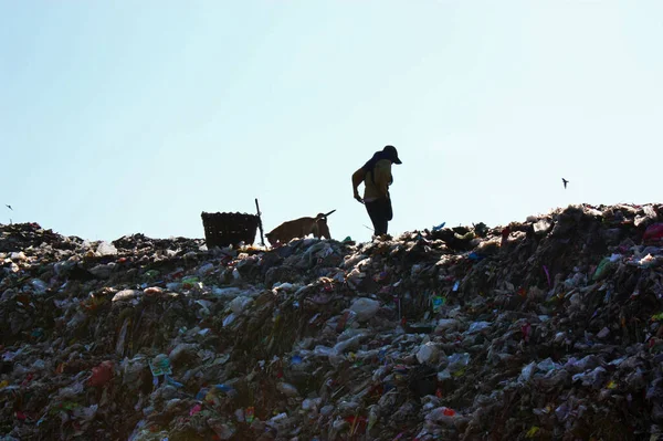 Poor people and dogs find or searching garbage in landfill for sell to reuse and recycle.