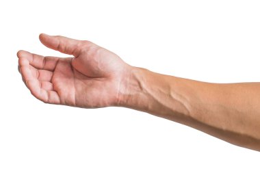 Beyaz arkaplanda kırpma yolu ile izole insan elinin çeşitli jestleri ve işaretleri.