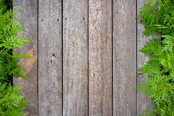 Tampilan atas tekstur kayu dengan latar belakang bingkai daun hijau alam . — Stok Foto